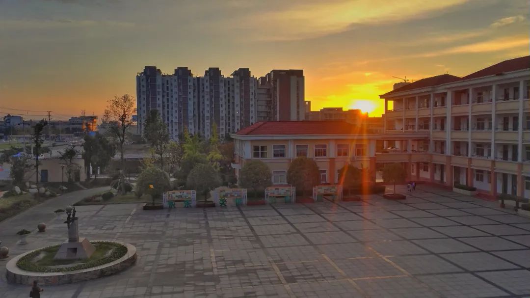 西郊小学校园秋色-胥平川 (1).jpeg
