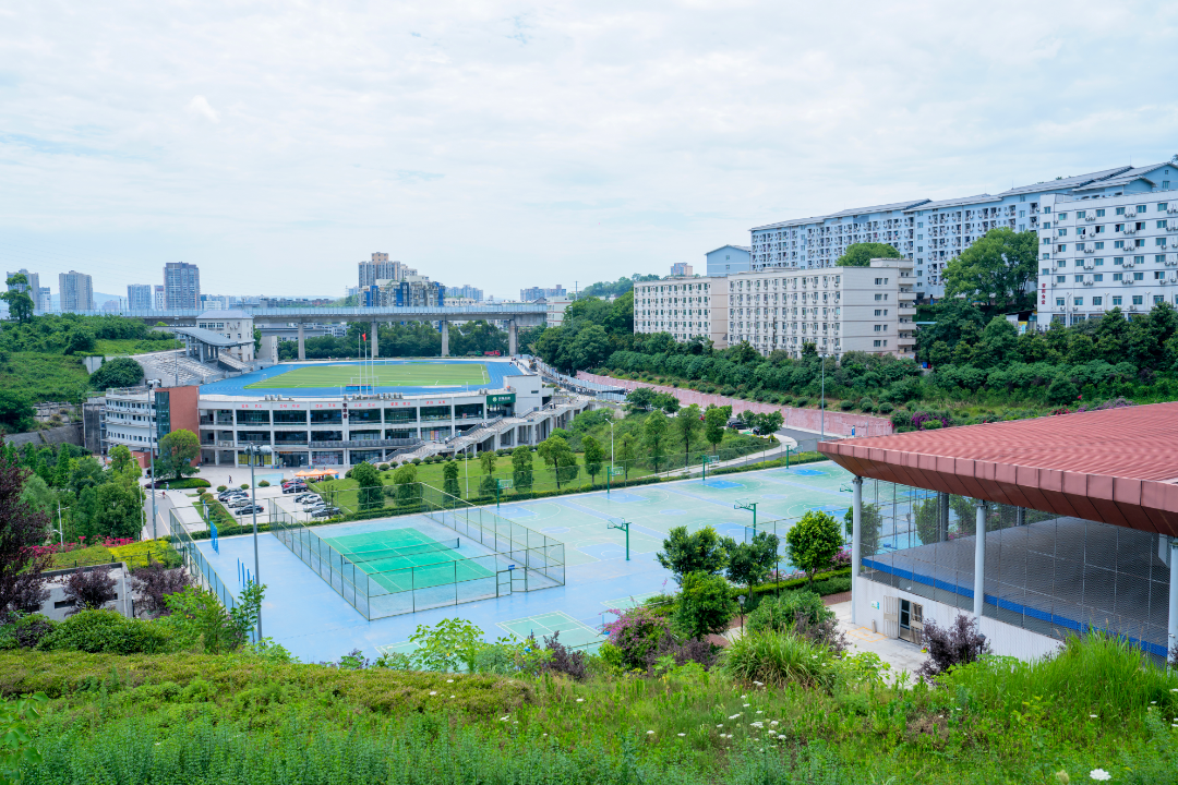 微信图片_20260806192917_186_3.png